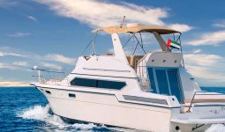 Yacht 45ft: 1 or 2 Hours Private Yacht Tour