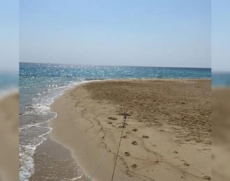 رحلة إلى جزيرة البريدي أملج لمدة 5 ساعات