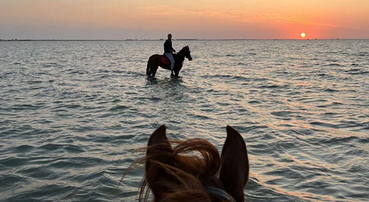 Land or Sea! Choose your Horse Riding Adventure in Dhahban