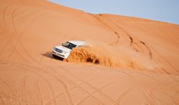 Golden Evening Safari with BBQ Package with 27% off