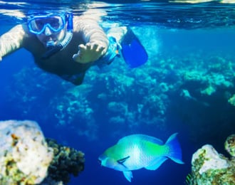 4 Hours Snorkeling Experience with All Equipment