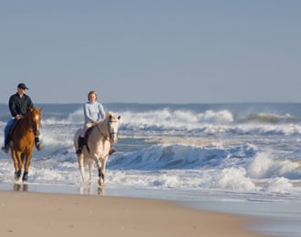 ركوب خيل على الشاطئ في صلالة لمدة ساعتين