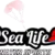 سي لايف 