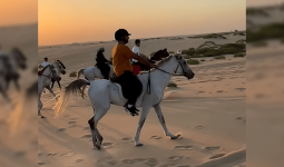 Enjoy horse riding in Dammam
