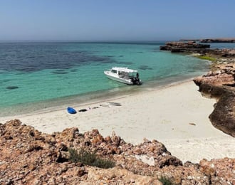 Private 8-Hour Trip on Daymaniyat Island