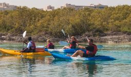 Abu Dhabi: 2-hour Kayak Adventure in the Mangroves Park with 2% off