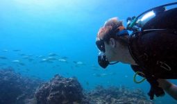 5 Hours Shared Diving Trip in Bulthama Reef, Buamama & Shataya in Bahrain