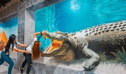 Dubai:Tour to 3D World Selfie Museum