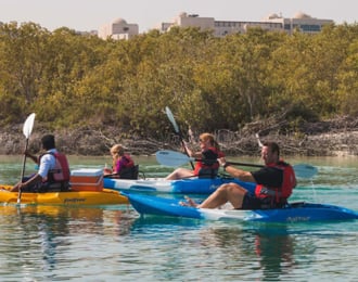 Abu Dhabi: 2-hour Kayak Tour in the Mangroves