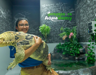 Trip to the National Aquarium Abu Dhabi with 3.5% off 