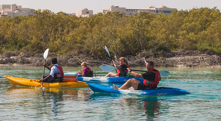Abu Dhabi: 2-hour Kayak Adventure in the Mangroves Park 