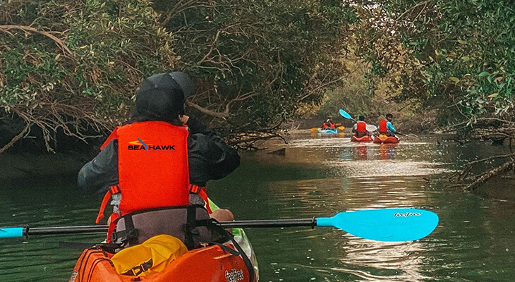 Abu Dhabi: 2-hour Kayak Adventure in the Mangroves Park 