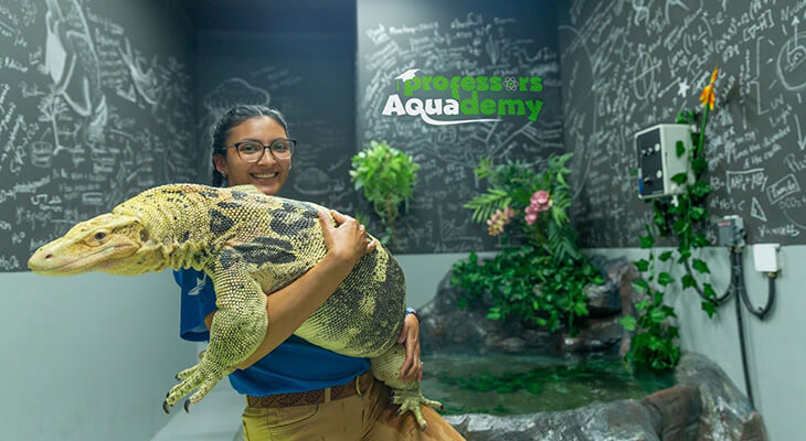 Trip to the National Aquarium Abu Dhabi with 3.5% off 