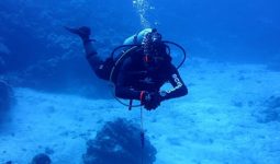 Diving Trip with All Equipment in Jeddah 