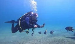 Diving experience in underwater museum