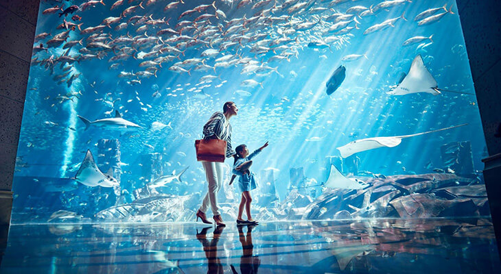 One day in Atlantis with the largest water sliders & the lost Chambers Aquarium