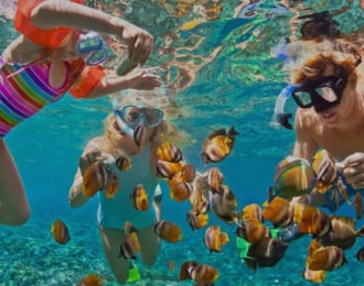 2 Hours Snorkelling in Bandar Khairan Island.