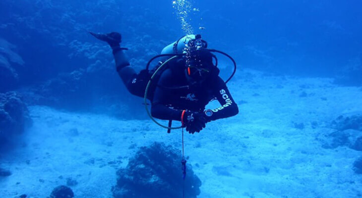Diving Trip with All Equipment in Jeddah 