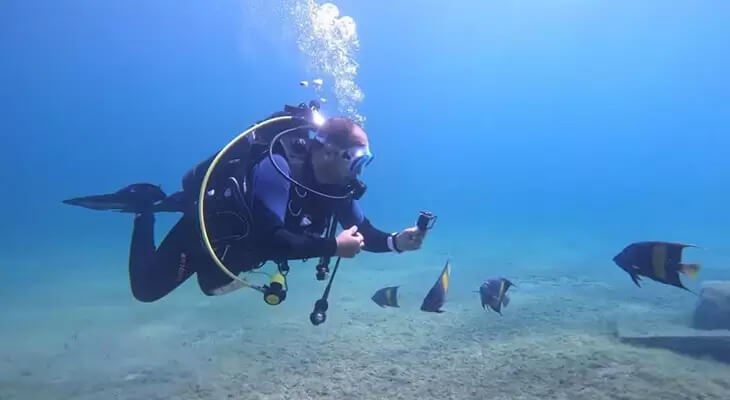 Diving experience in underwater museum
