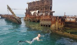 رحلة غطس: تجربة فريدة للحياة تحت المياه في حطام سفينة فيفي 
