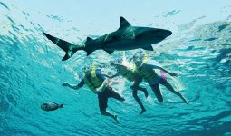Atlantis Ultimate Snorkel Experience for 35 Mins