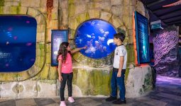 Gemeral Admission Aquarium and Underwater Zoo 