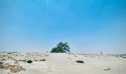 Bahrain: Half-Day Desert Tour 