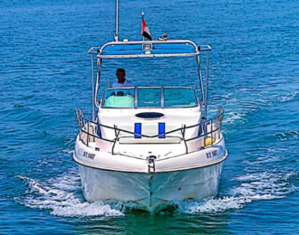 1-Hour Fishing Trip on a Boat (34 ft) in Dubai