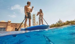 Paddle with Dolphins at Atlantis Dubai 