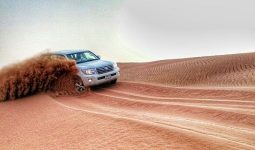Private Safari Trip in Ras Al Khaimah 