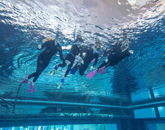 Two Hours Snorkeling Trip in Dubai
