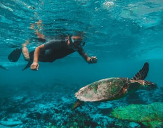 رحلة سنوركلينج مع غداء مشويات في الفجيرة