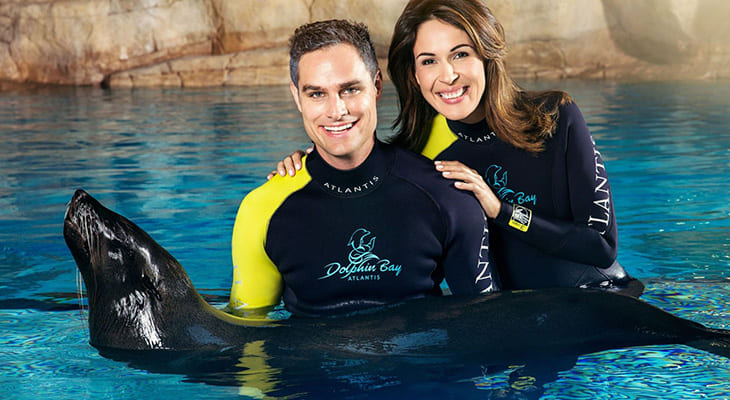 Playing Experience for one hour with the Sea Lions in Atlantis Dubai 