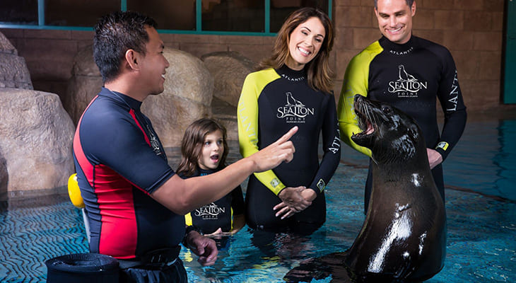 Playing Experience for one hour with the Sea Lions in Atlantis Dubai 