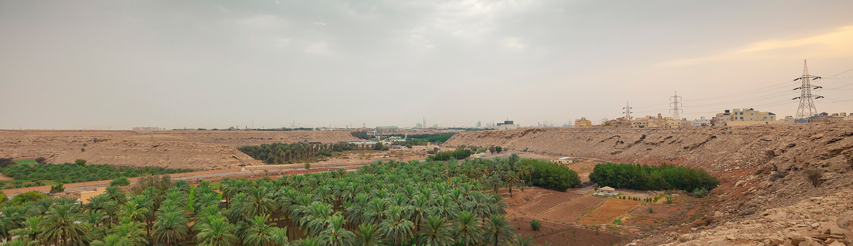 بماذا تشتهر القصيم