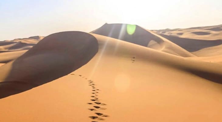 يومًا قي الرمال الحمراء مع هايكينج، التزحلق على الرمال مع باقي أنشطة الصحراء