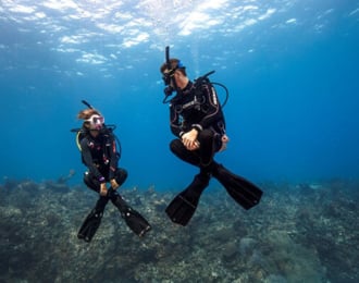 رحلة غوص لمدة 8 ساعات فى الفجيرة