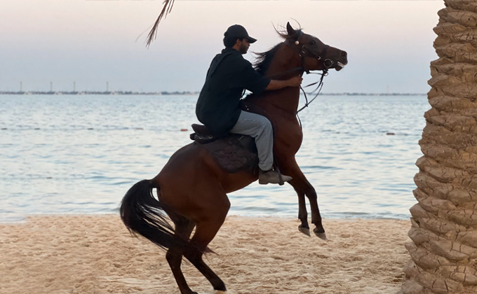 10 Classes for Learning Horseback Riding in Al Khobar