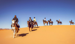 Horseback Riding Tour at Bawshar Sands 