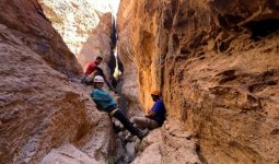 تجربة هايكنج في مسار المتاهة في العلا