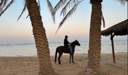Horseback Riding in Al Khobar