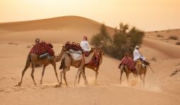 Sunset camel safari and stargazing with BBQ at Al-Khayma camp in Dubai