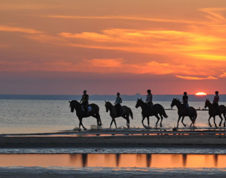Oman: Beach Horse Riding Experience in Muscat