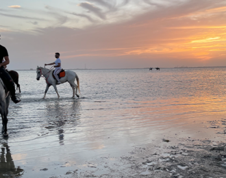 تجربة التخييم وركوب الخيل على البحر للمجموعات
