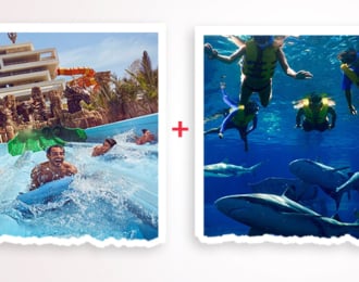Snorkeling with Sharks Lagoon Beach & Free Access to Atlantis Aquaventure