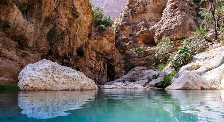 Day trip to Wadi Tiwi in Muscat 