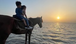 Horse Riding on the Beach for Kids with Professional Guides in Jeddah