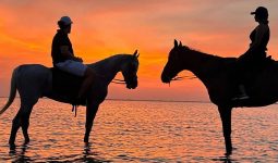 2-Hours Horse Riding at the Beach of Dhahban Area in Jeddah with 20% off & 2-Hours free Galsa for 3+ Persons