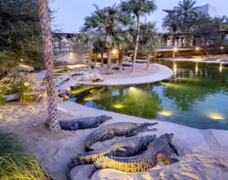 Adventure for 1.5 Hours General Admission to Dubai Crocodile Park