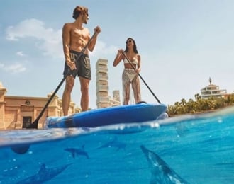 Enjoy one of 3 different experiences with dolphins in Atlantis Dubai